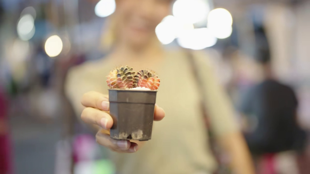 ablation reference frame